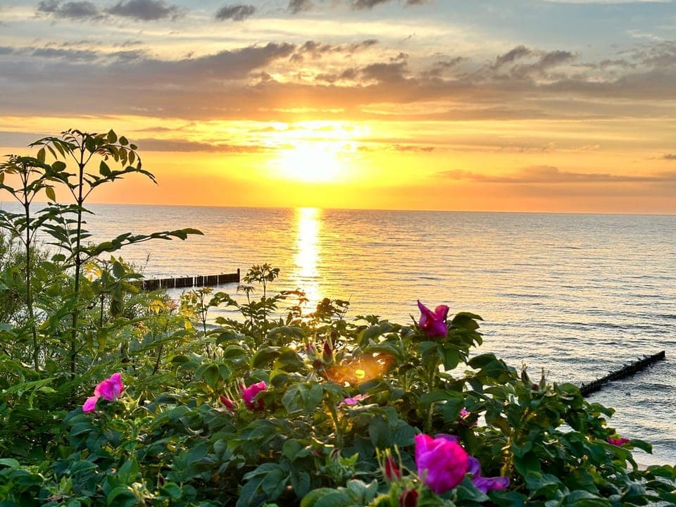 Off site, Beach, Sunset