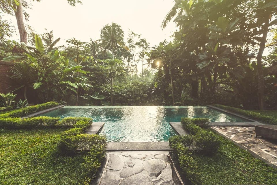 Natural landscape, Garden, Garden view, Pool view, Swimming pool