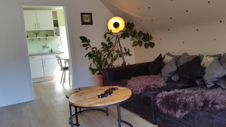 Living room, Photo of the whole room