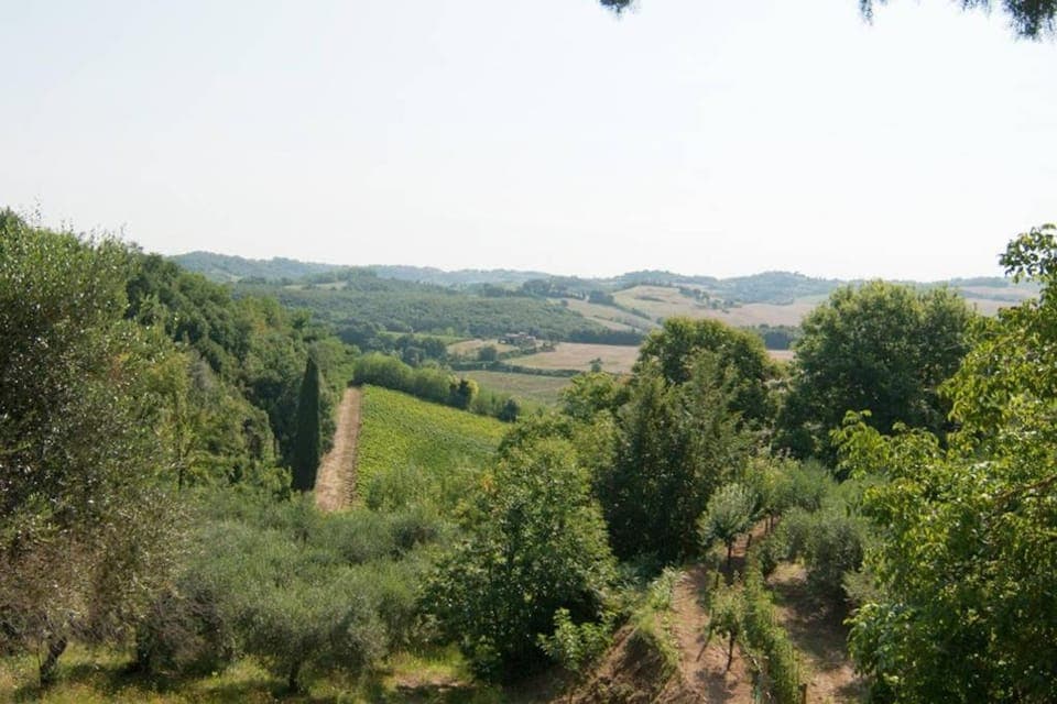 Summer, Garden, Garden view