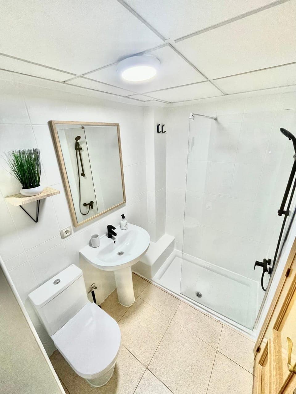 Shower, Toilet, towels