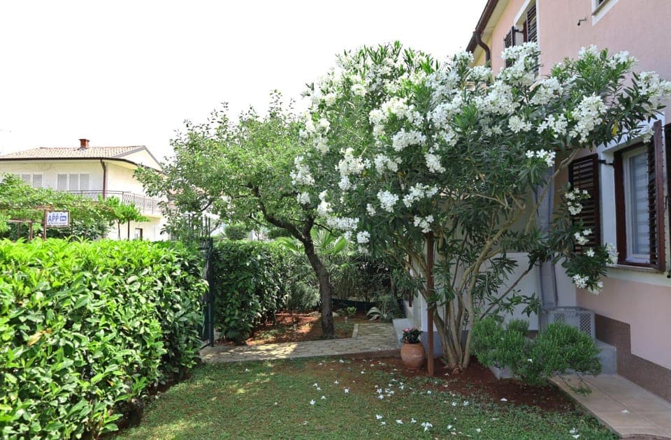 Property building, Garden