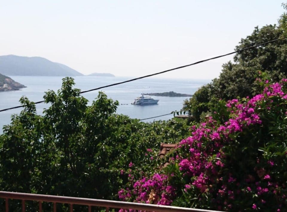 View (from property/room)