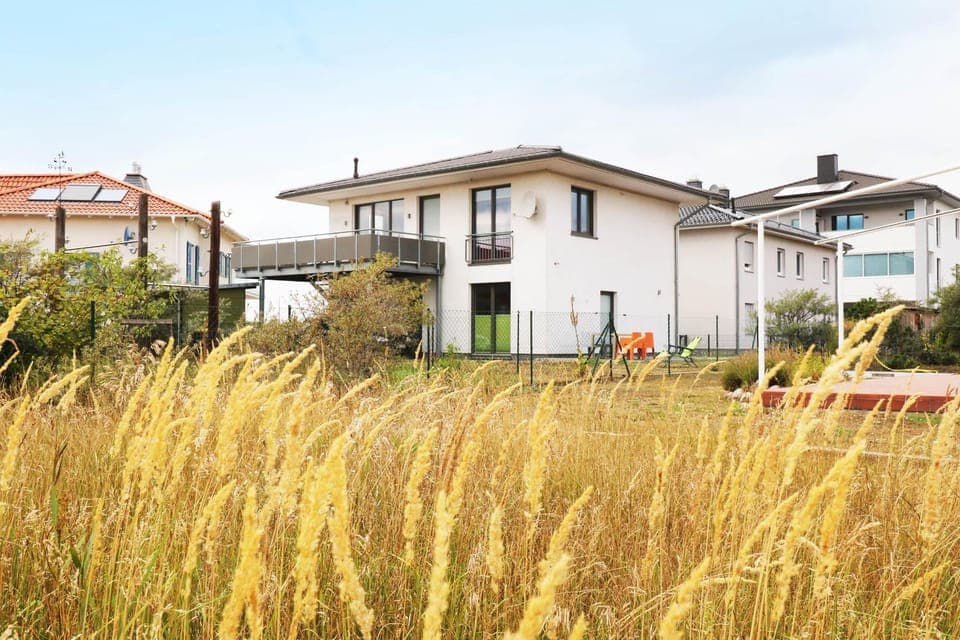 Property building, Neighbourhood, Garden