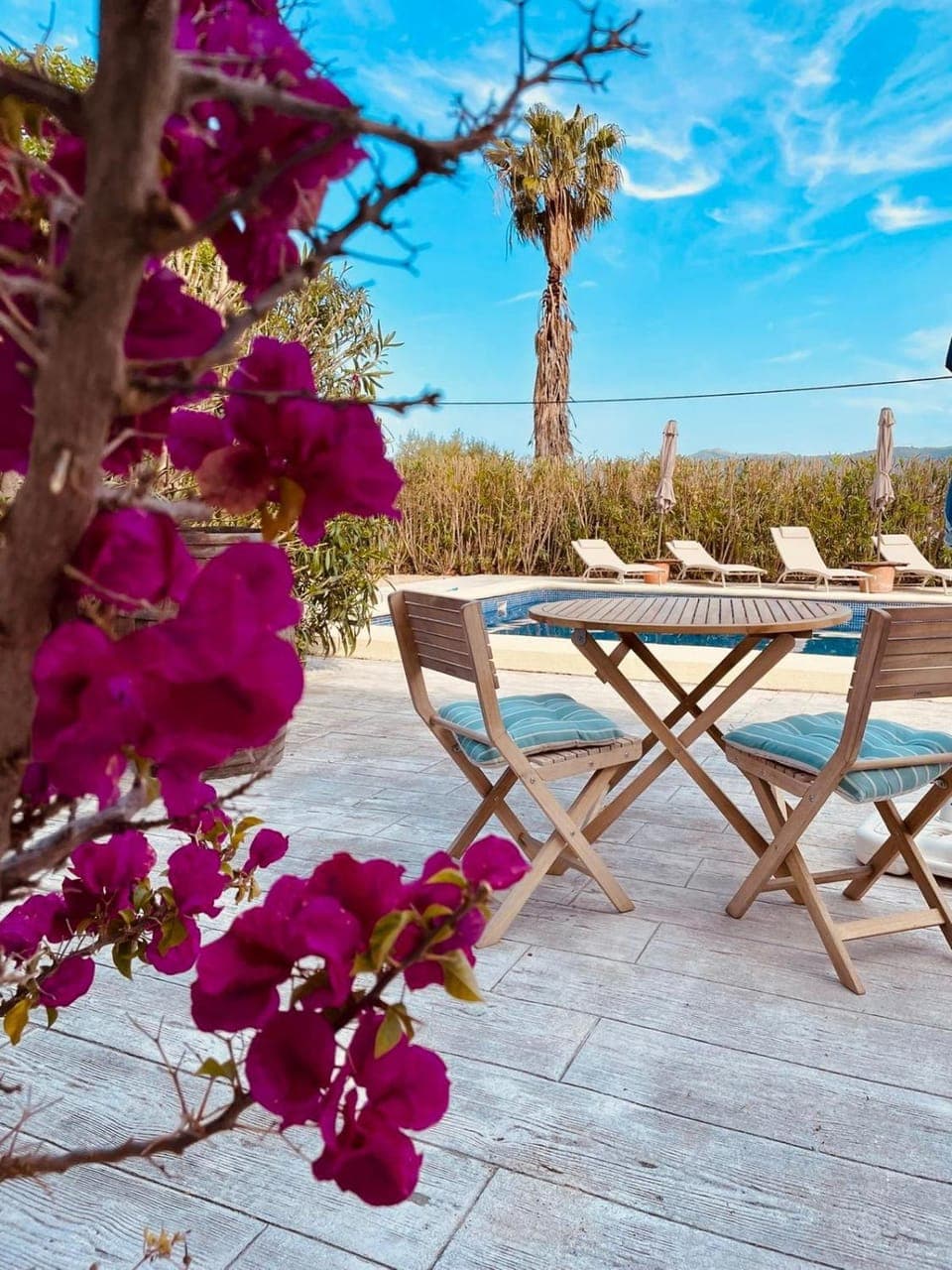 Garden, Lounge or bar, Swimming pool