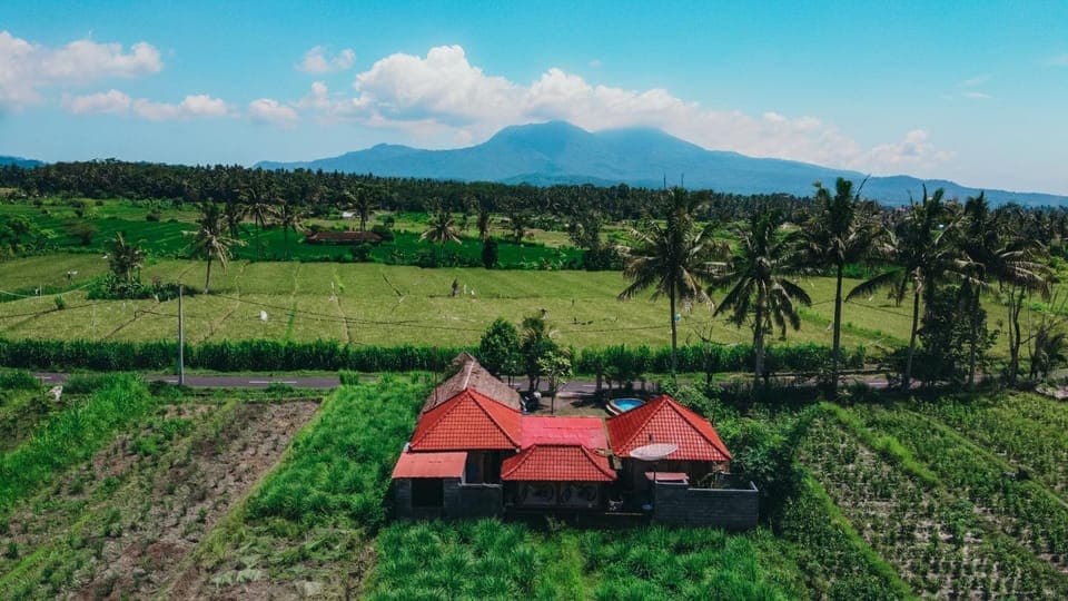 View (from property/room)