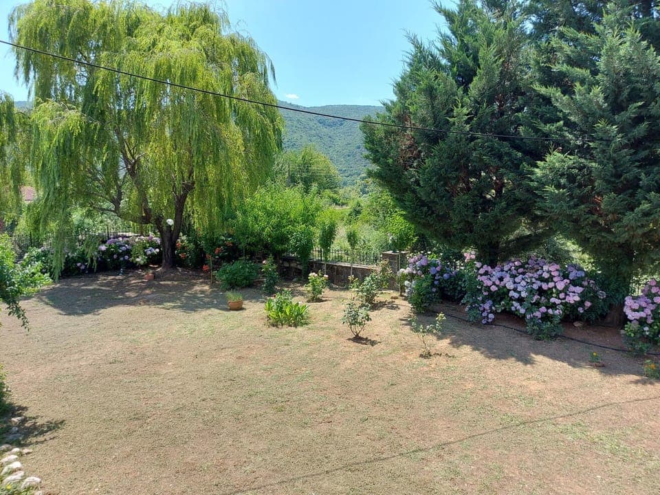 Property building, Garden, Garden, Garden view