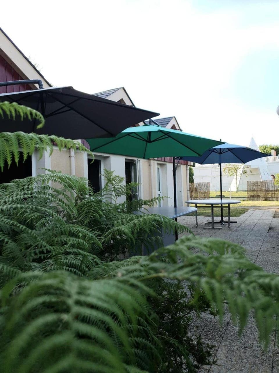 Patio, Garden, Garden view