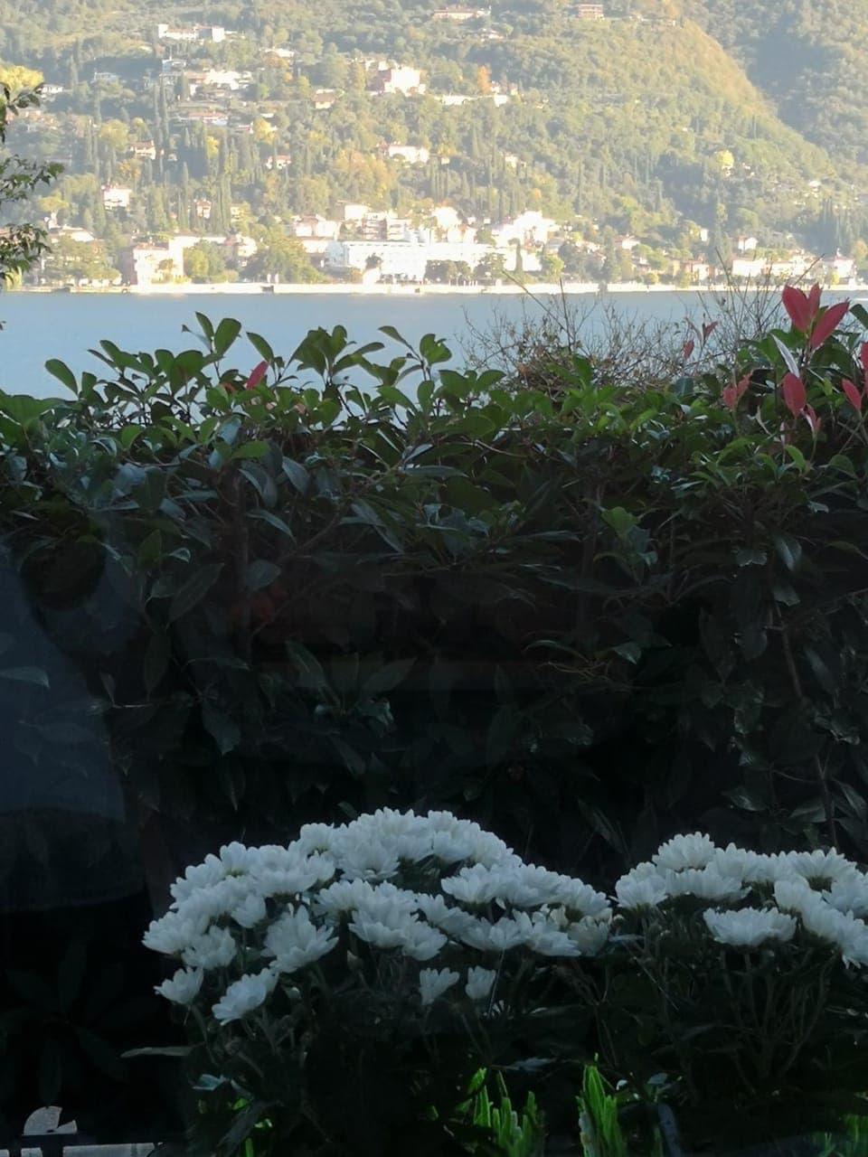 View (from property/room)