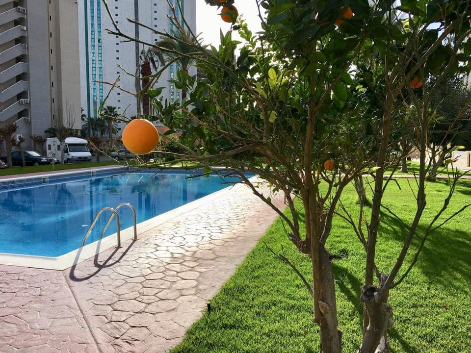 Garden, Garden view, Pool view, Swimming pool