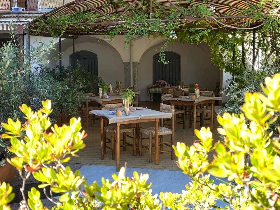 Garden, Lounge or bar