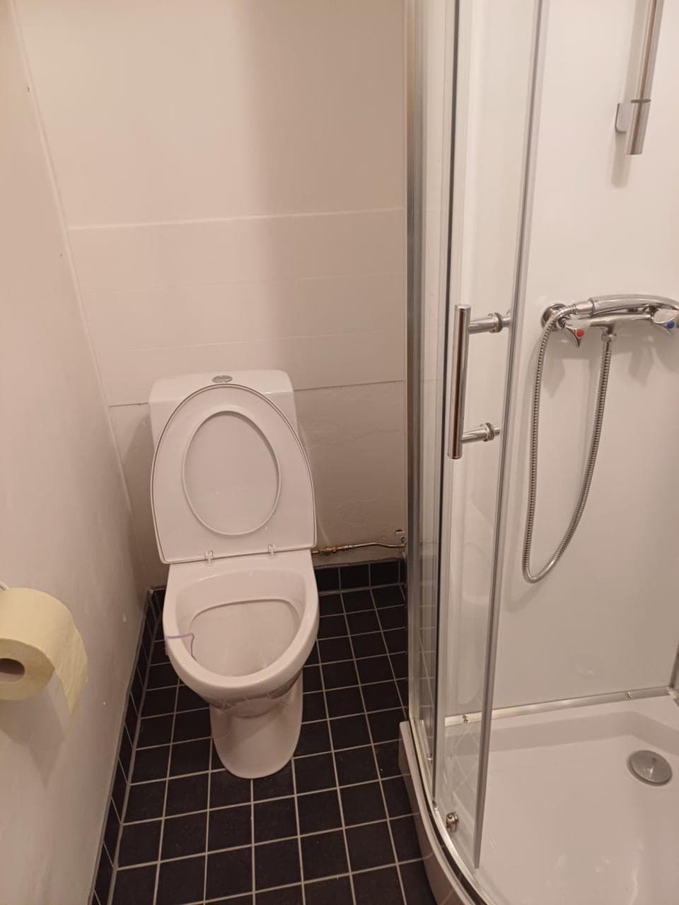Shower, Toilet