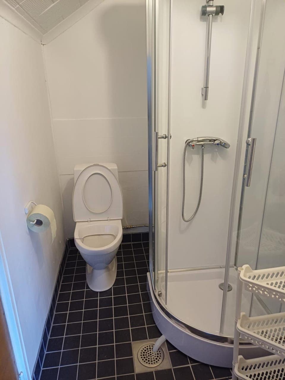 Shower, Toilet, Bathroom