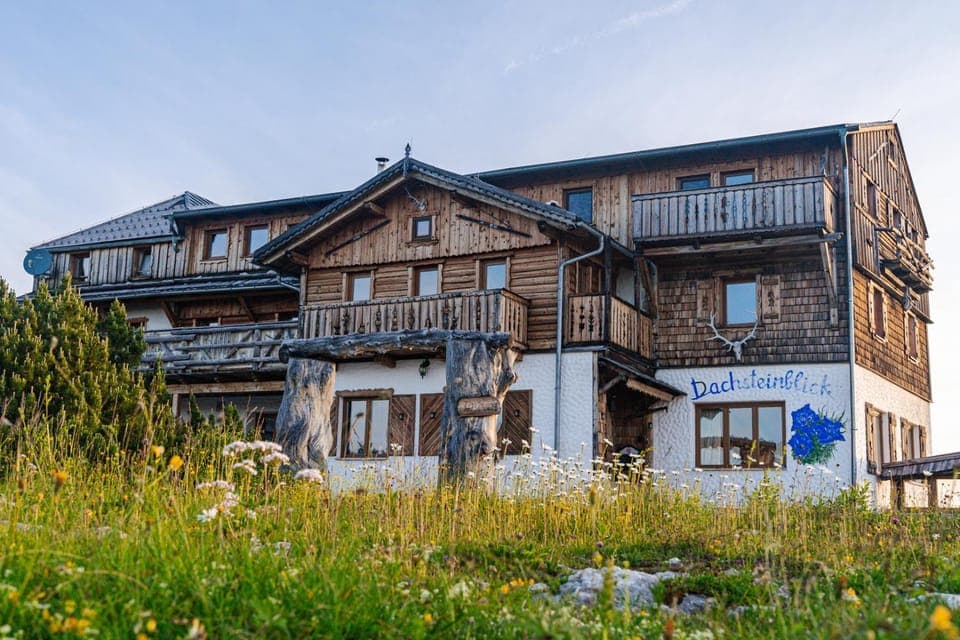 Property building, Garden view