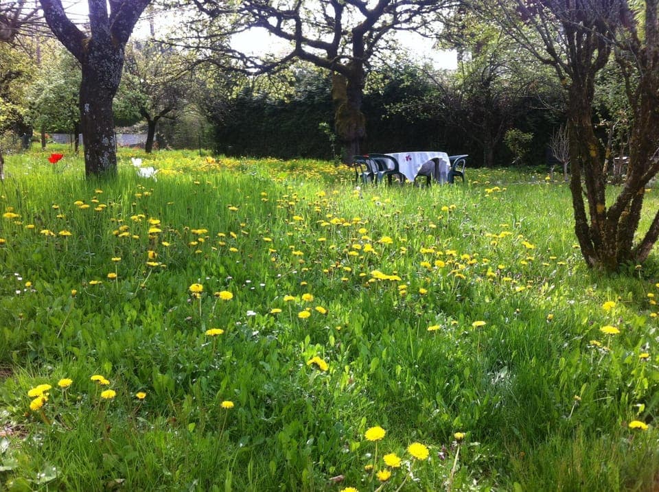 Property building, Spring, Garden
