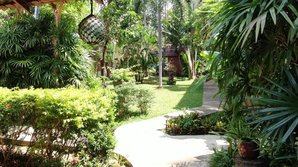 Garden