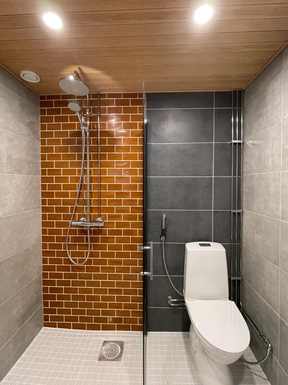 Shower, Toilet, Bathroom, bidet