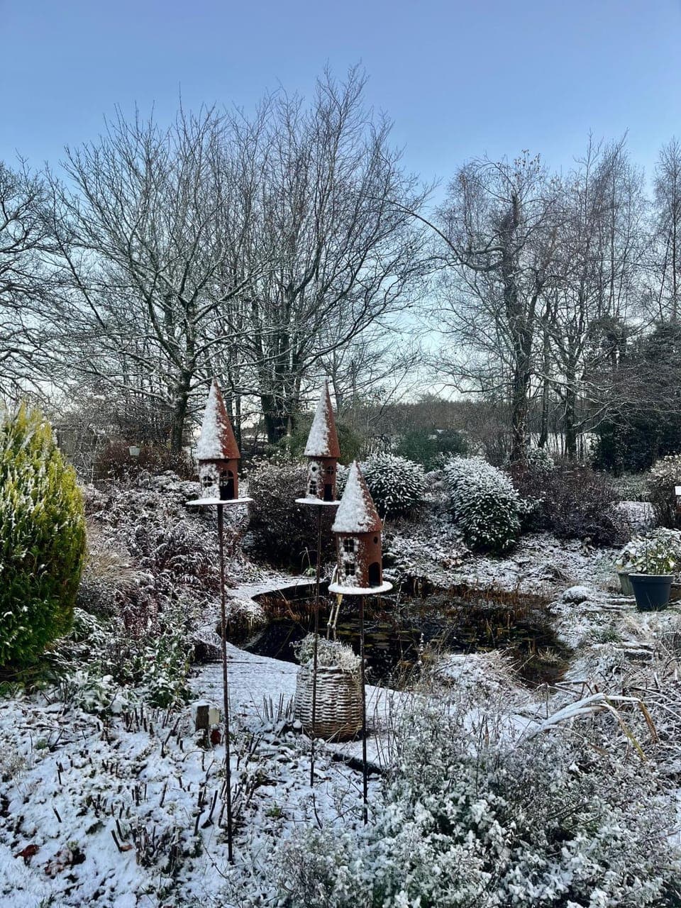 Property building, Day, Natural landscape, Winter, Breakfast