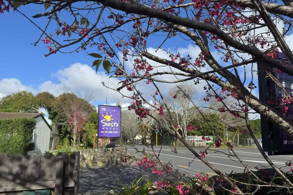Property building, Logo/Certificate/Sign