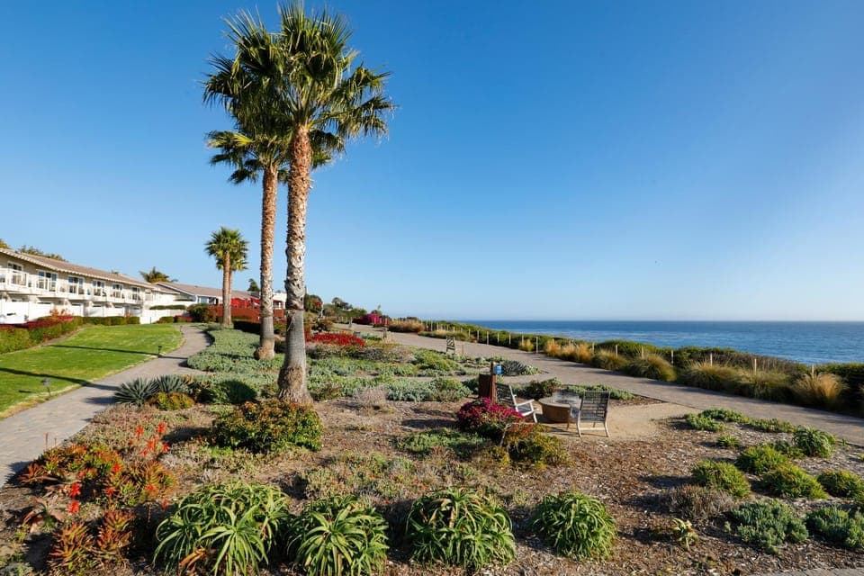 Natural landscape, Garden, Beach, Sea view