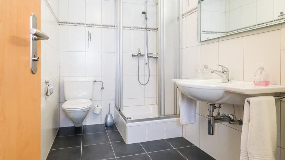 Shower, Toilet, Bathroom, towels