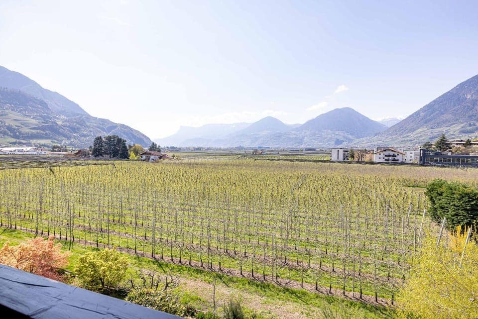 Natural landscape, View (from property/room)