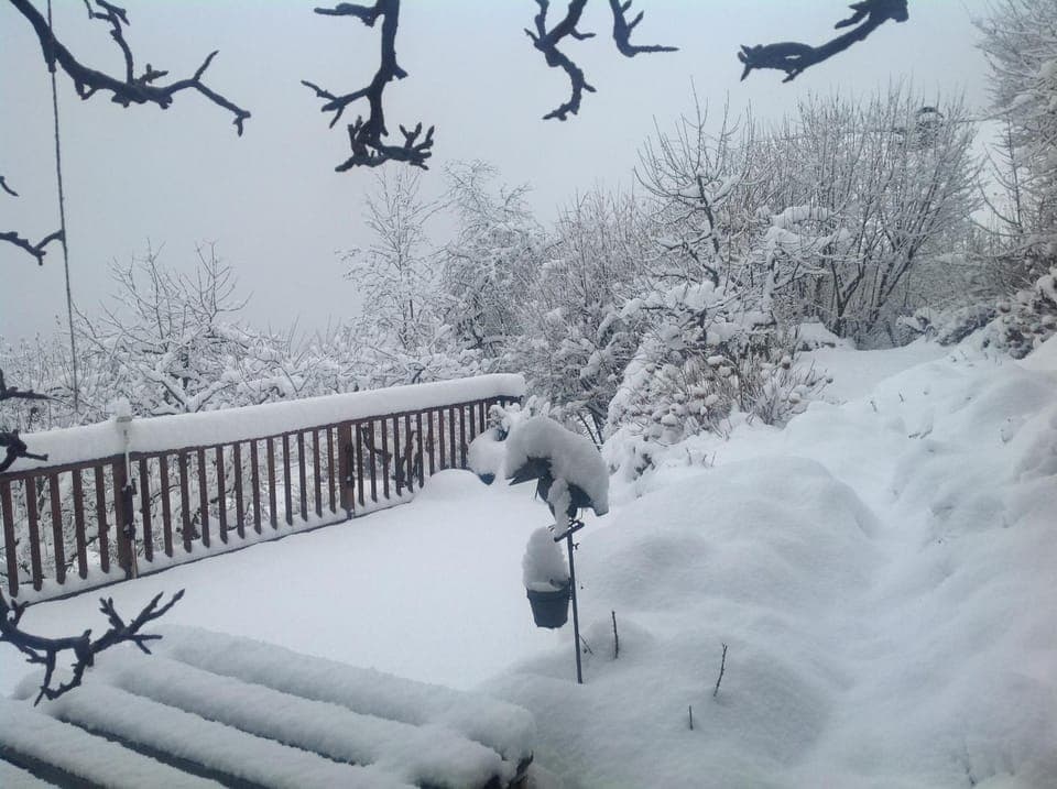 Winter, Balcony/Terrace