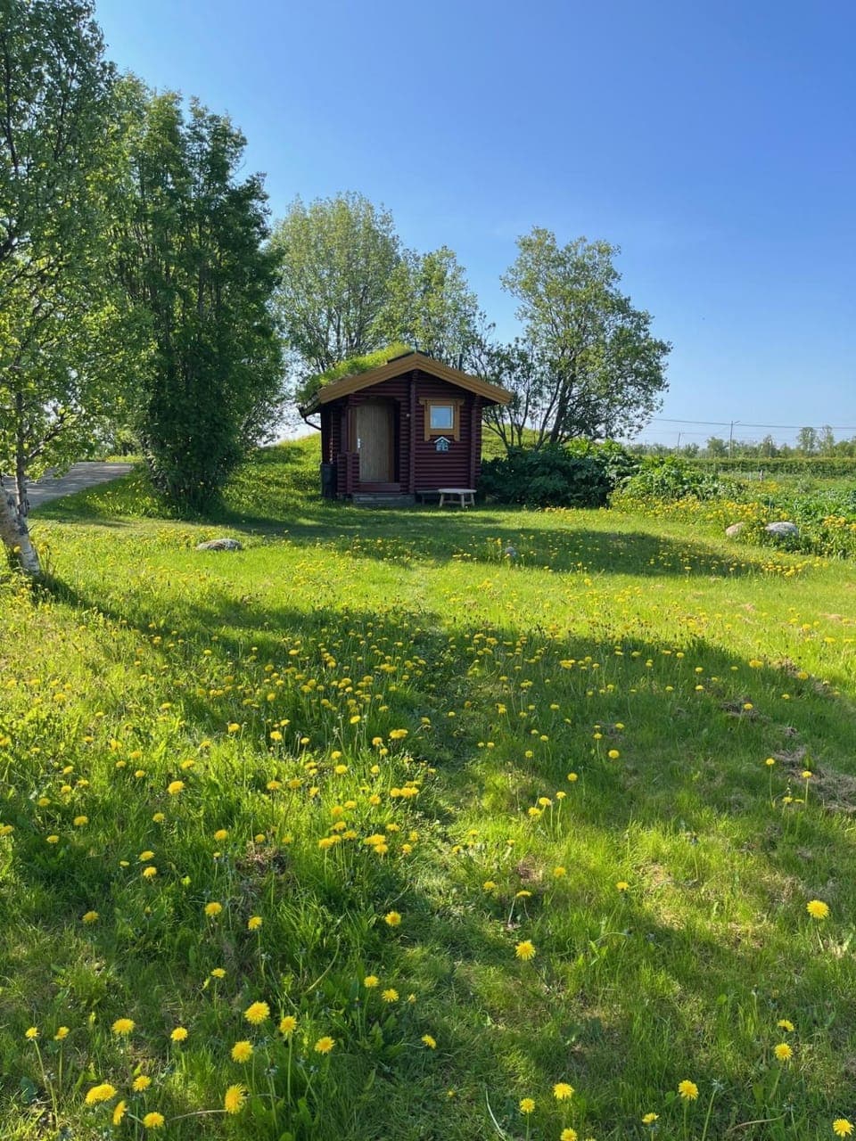 Property building, Natural landscape, Garden view
