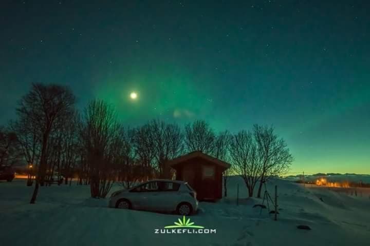 Night, Winter