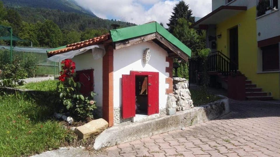 Garden, Decorative detail