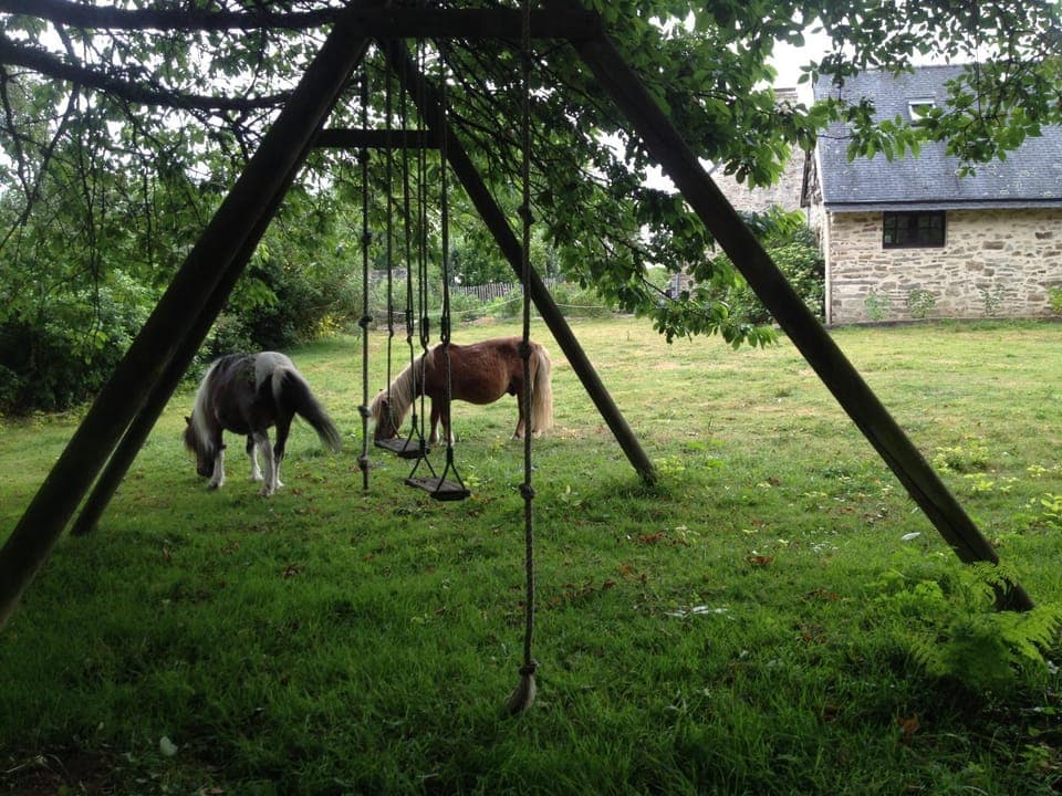 View (from property/room), Pets, Garden view