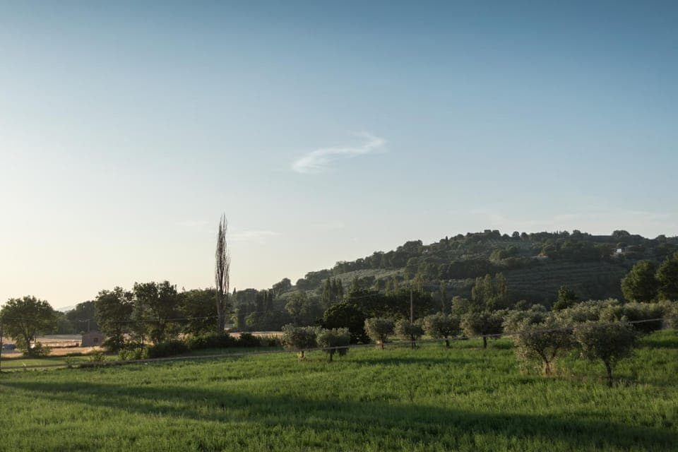 Neighbourhood, Natural landscape, Mountain view