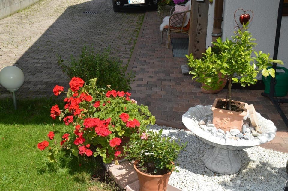 Garden, Area and facilities