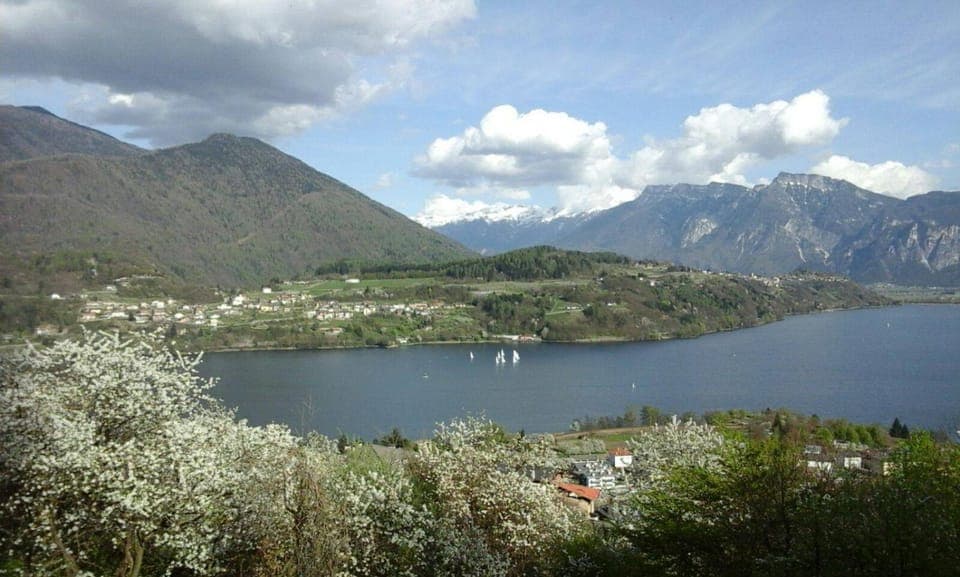 Property building, Spring