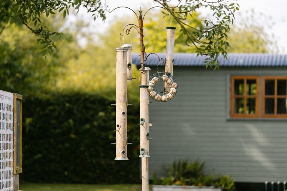 Property building, Garden, Garden view