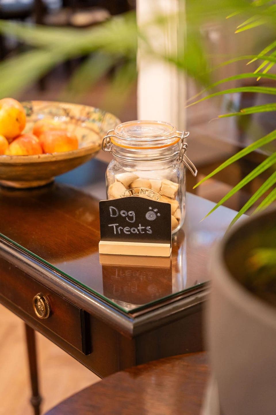 Pets, pet friendly, pet friendly