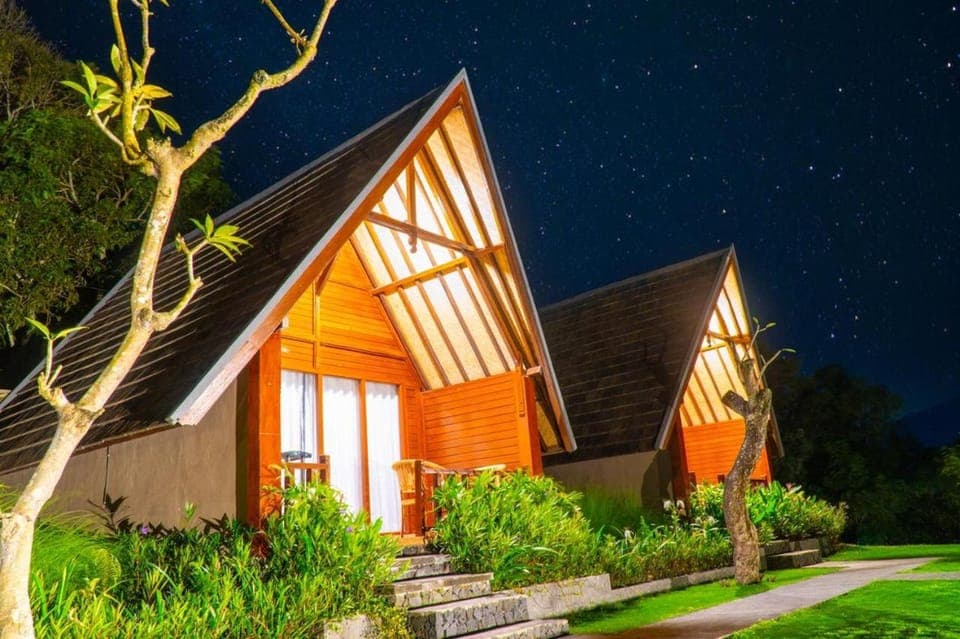 Property building, Night, Garden view