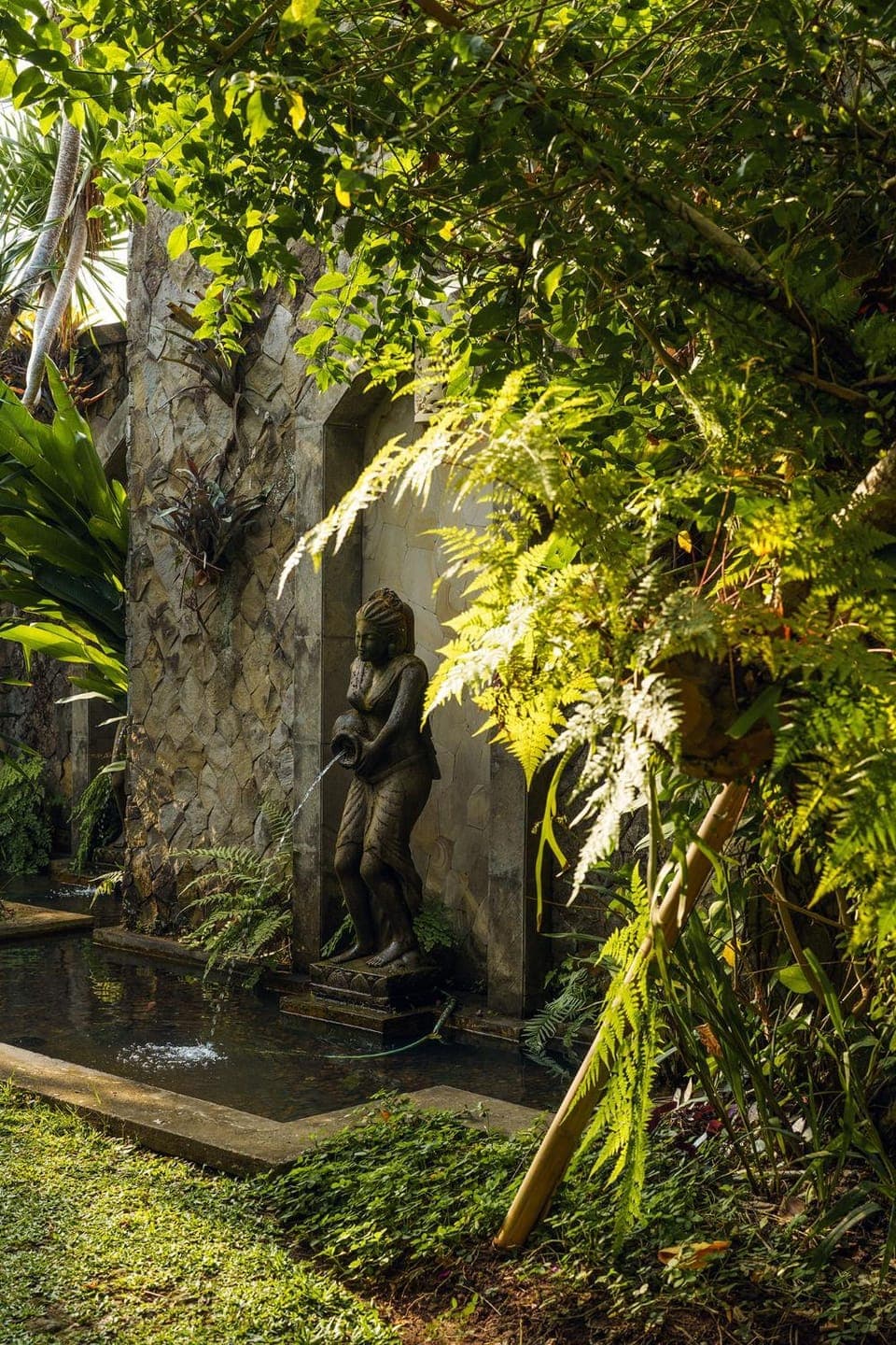 Natural landscape, Garden