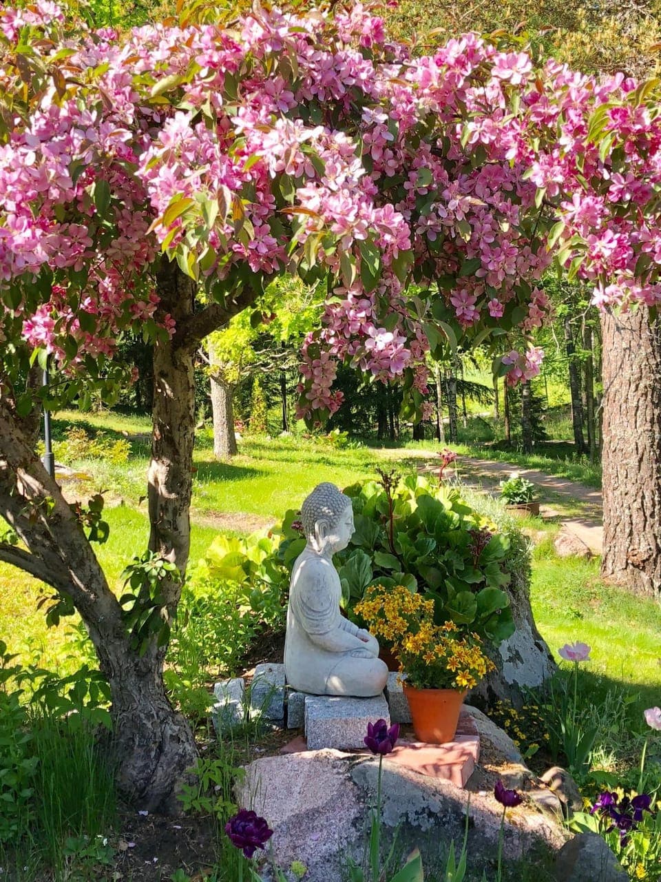 Spring, Garden