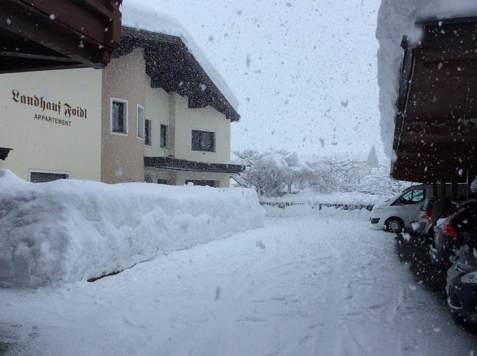 Property building, Patio, Facade/entrance, Winter, Garden