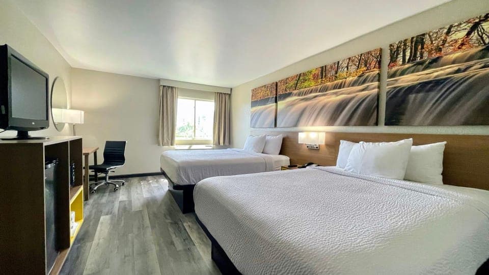 Photo of the whole room