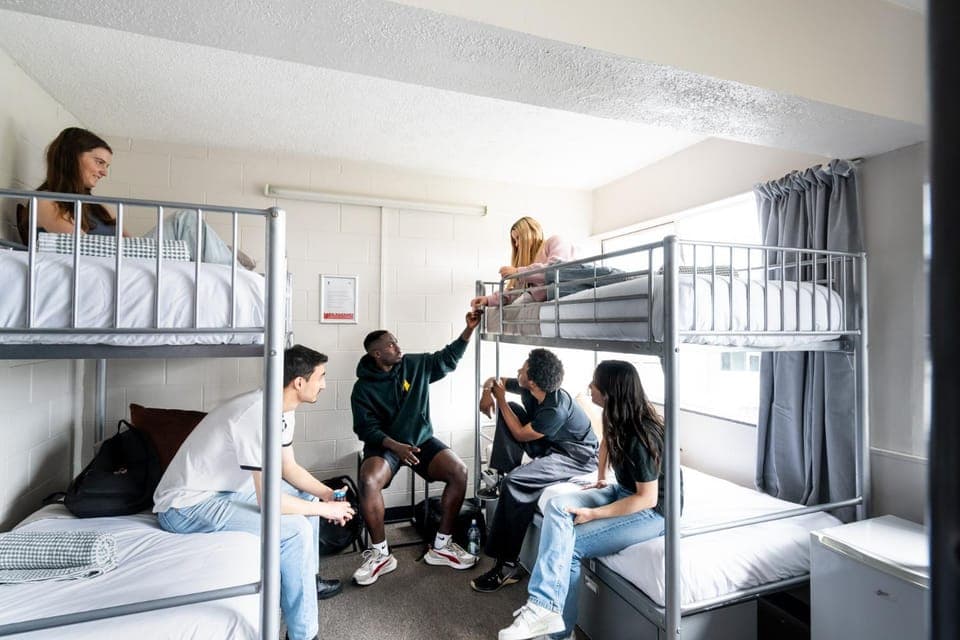 Bed, Bedroom, group of guests, bunk bed