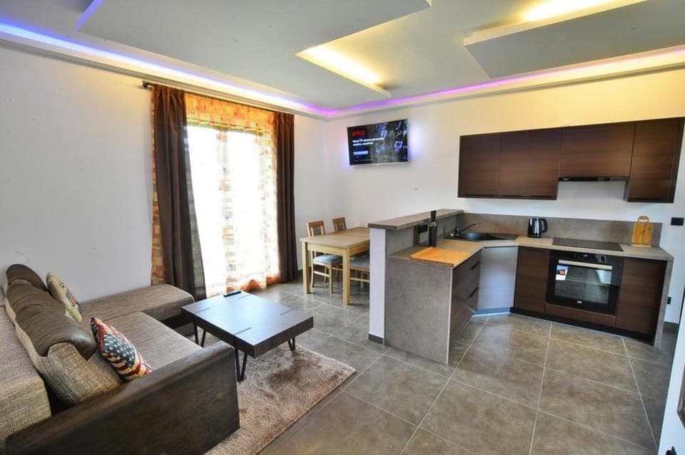 TV and multimedia, Coffee/tea facilities, Kitchen or kitchenette, Living room, Photo of the whole room, Decorative detail, Seating area, Dining area, pet friendly, stove