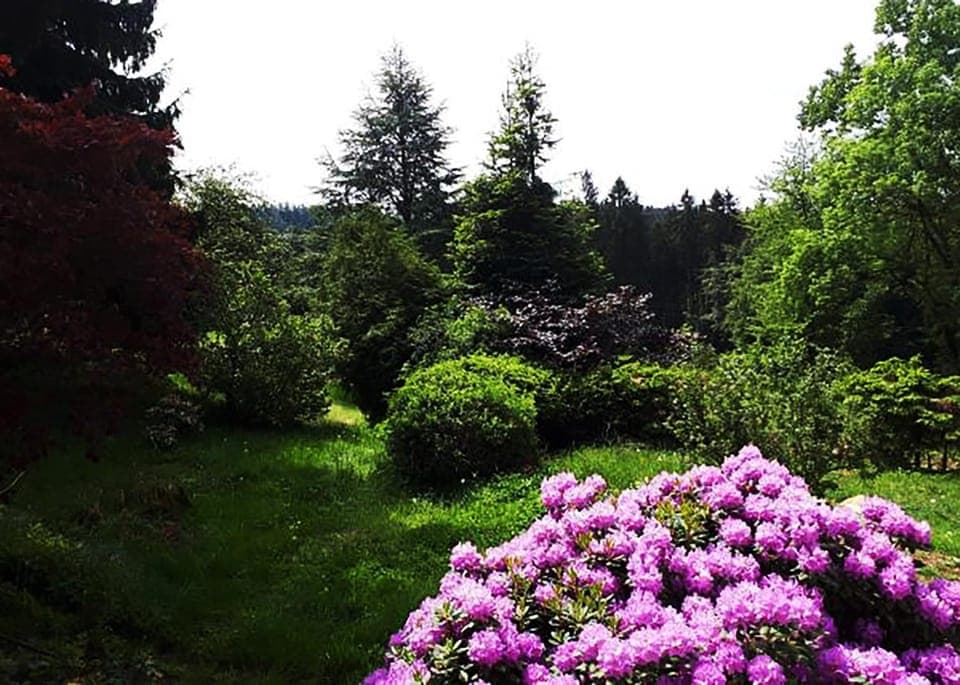 Garden view, Landmark view, Mountain view
