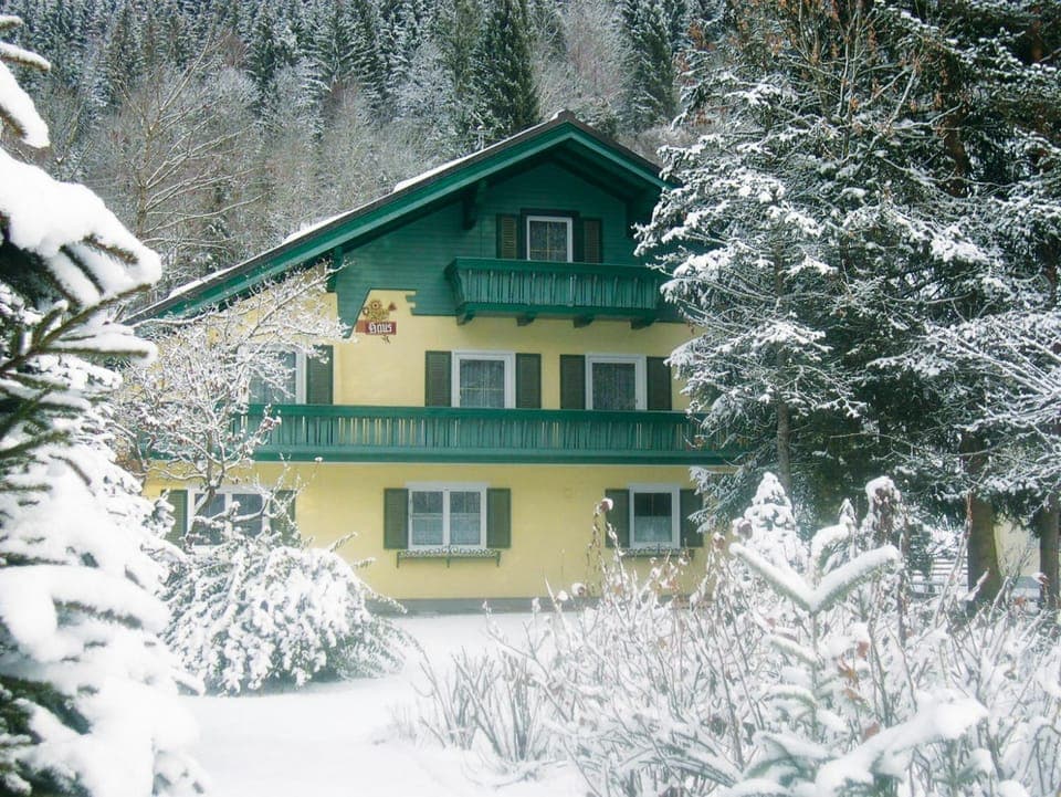 Property building, Winter