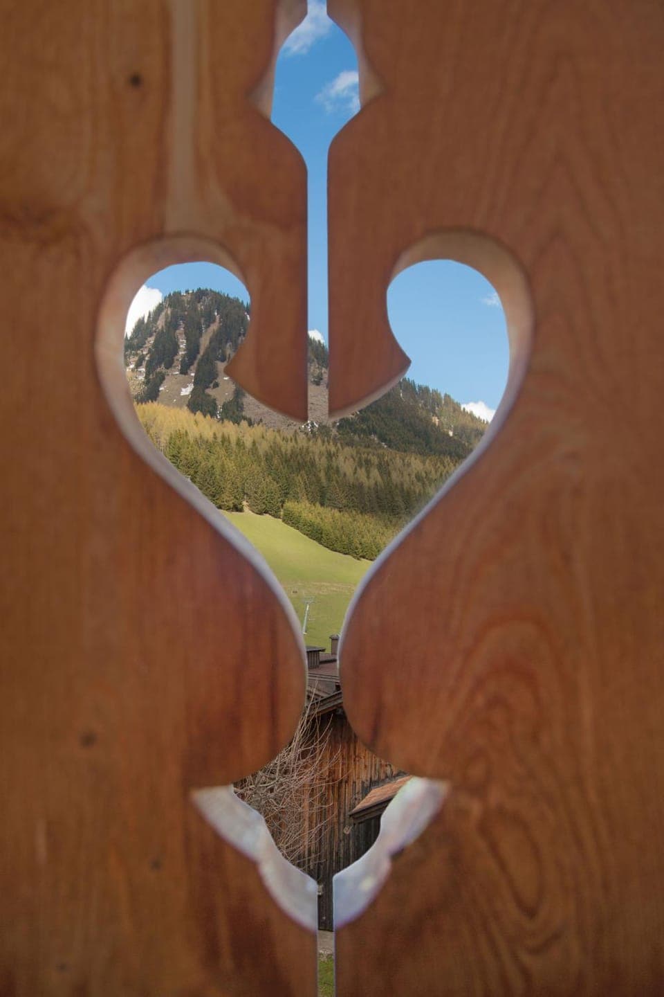 Garden view, Mountain view