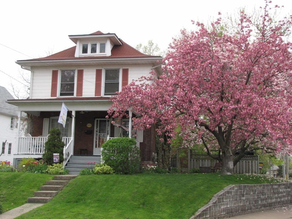 Property building, Neighbourhood, Garden, Street view