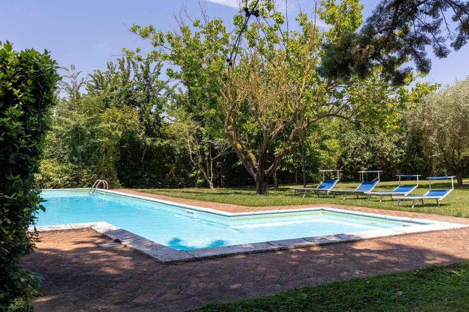 Garden, Garden view, Pool view, Swimming pool, sunbed
