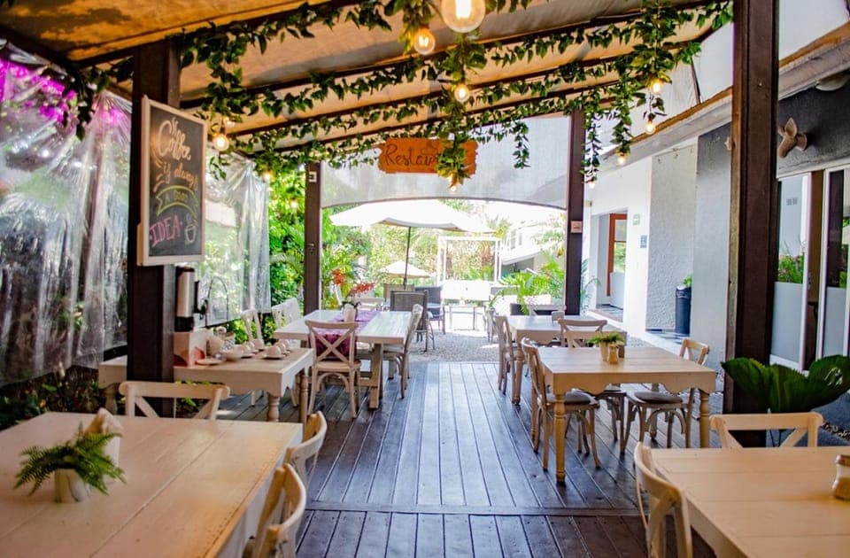 Restaurant/places to eat, Day, Living room, Seating area