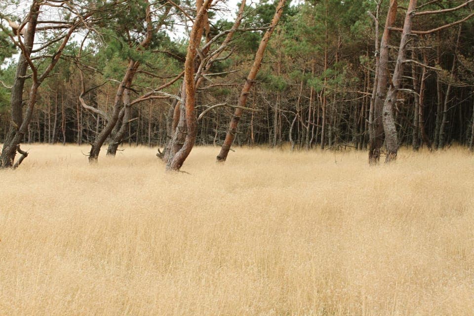 Off site, Day, Summer